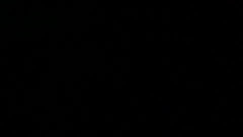 Snapshot of 0815____pet chatting on 02/23/25, 08:00 Peter online show from 02/23/25, 08:00