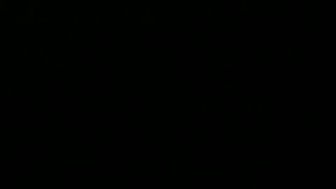 Snapshot of 0815____pet chatting on 09/16/25, 09:16 Peter online show from 09/16/25, 09:16