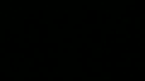 Snapshot of 0815____pet chatting on 12/16/25, 09:53 Peter online show from 12/16/25, 09:53