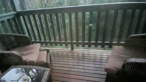 Intenseduo online show from 11/14/25, 09:19