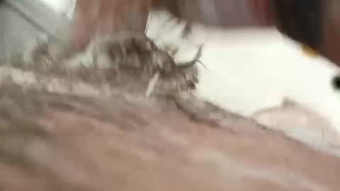 Snapshot of 10incher198 chatting on 12/20/25, 08:49 10incher198 online show from 12/20/25, 08:49