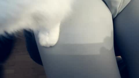 111mh online show from 04/04/26, 10:40