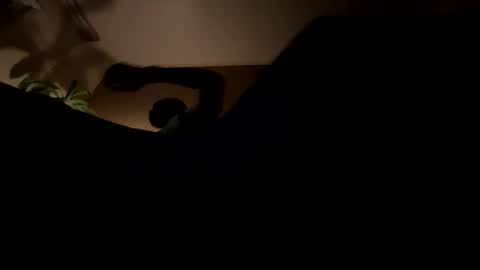 11rastamilkdudbbc online show from 03/21/26, 03:22