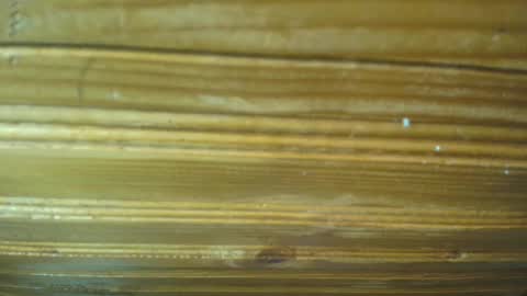 Carl the good girl online show from 02/21/25, 11:44