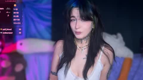 Snapshot of 1callmedistress1 chatting on 04/24/26, 07:11 Teya online show from 04/24/26, 07:11