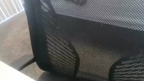 Snapshot of 1chris505 chatting on 01/02/25, 06:01 1chris505 online show from 01/02/25, 06:01