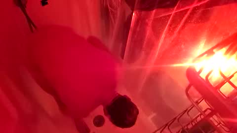 Snapshot of 1knightluver69 chatting on 03/31/26, 08:59 1knightluver69 online show from 03/31/26, 08:59