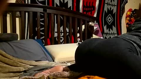 Snapshot of 1knightluver69 chatting on 04/05/26, 08:44 1knightluver69 online show from 04/05/26, 08:44