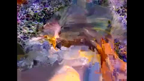 Snapshot of 1mehdiman chatting on 03/08/26, 09:29 MED online show from 03/08/26, 09:29