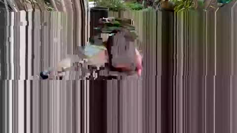 BiHungThickCock69 online show from 03/02/26, 09:32