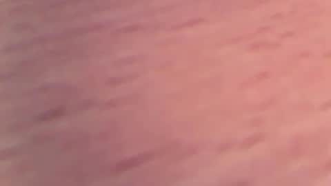 1vaso online show from 02/04/25, 05:55