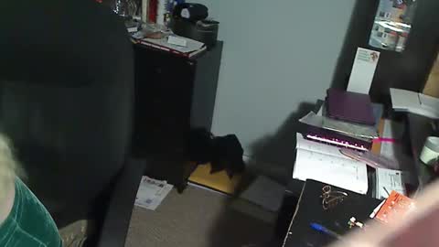 Susan online show from 12/19/25, 01:01