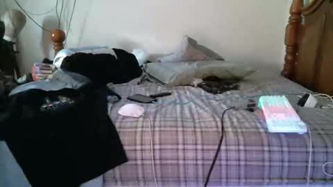 247dic online show from 05/11/26, 08:17