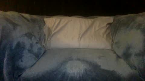 Snapshot of 2hairrypigs chatting on 09/29/25, 10:03 2hairrypigs online show from 09/29/25, 10:03