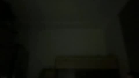 Snapshot of 2nice4yo chatting on 11/26/25, 03:46 Adam online show from 11/26/25, 03:46