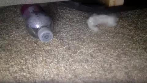 30nick online show from 02/10/26, 04:16