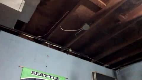 33adidas online show from 11/09/25, 12:25