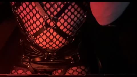 1 online show from 06/06/26, 08:52
