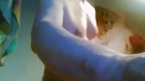 41bigdick41 online show from 04/08/26, 03:45