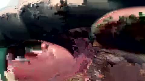 420_johnnystamina online show from 02/15/25, 04:45