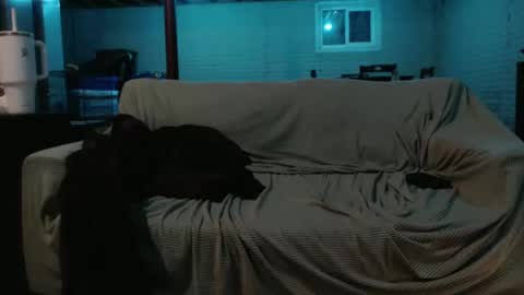 420bunnie online show from 02/26/25, 07:20