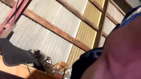 420danny online show from 02/24/25, 03:44