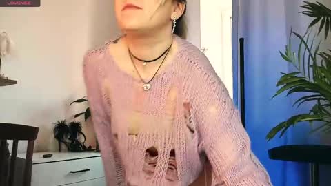 Sunshine online show from 04/11/26, 06:29