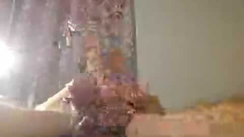 Zeus online show from 07/15/26, 01:33