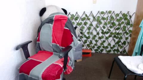 69 tania santos online show from 01/07/25, 06:56