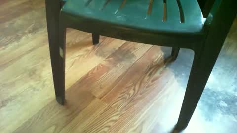 Snapshot of 69forever453443 chatting on 10/09/25, 12:25 69forever453443 online show from 10/09/25, 12:25