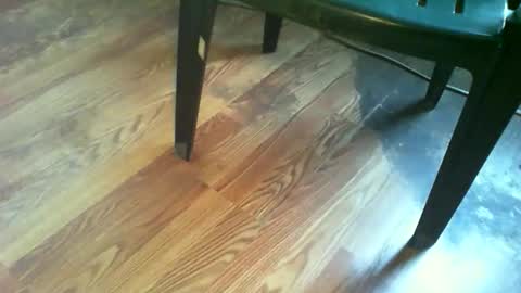 69forever453443 online show from 11/19/25, 01:22