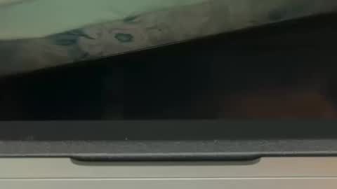 FUCKR online show from 10/17/25, 08:06