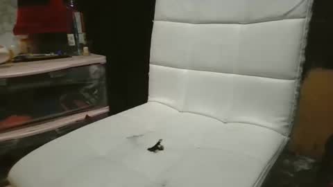 69meowxxx online show from 11/03/25, 03:24