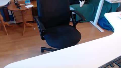 69pifpaf online show from 11/22/25, 08:57