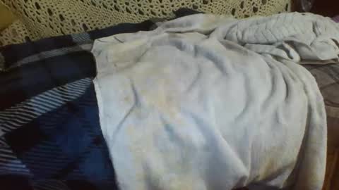 Snapshot of 69sextoyboy69 chatting on 12/11/24, 11:08 69sextoyboy69 online show from 12/11/24, 11:08