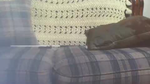 Snapshot of 69sextoyboy69 chatting on 01/25/25, 03:41 69sextoyboy69 online show from 01/25/25, 03:41