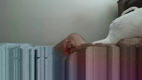 6boss498491 online show from 02/23/26, 12:52