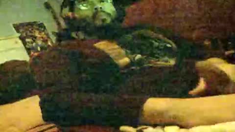 Snapshot of 6instraighter7 chatting on 11/03/25, 11:55 6instraighter7 online show from 11/03/25, 11:55