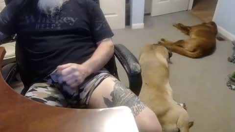 Snapshot of 70paborn chatting on 10/13/25, 05:02 MASTIFF online show from 10/13/25, 05:02