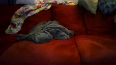 Snapshot of 77steve7777 chatting on 12/18/25, 11:16 77steve7777 online show from 12/18/25, 11:16