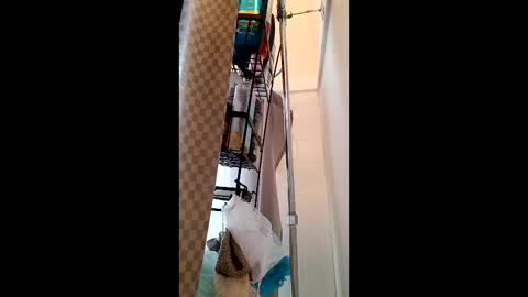 Snapshot of 88anythinggoes8 chatting on 03/01/25, 06:54 John B online show from 03/01/25, 06:54