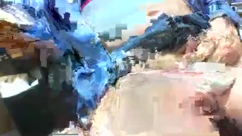 99zeus9 online show from 04/26/26, 04:26