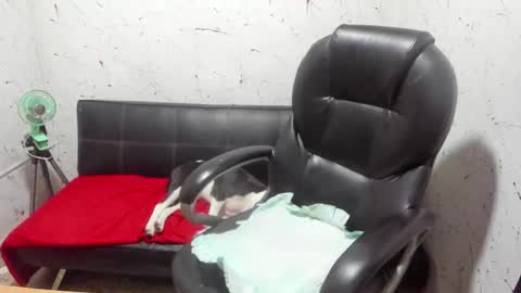     ----       online show from 03/07/26, 05:04