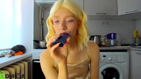 Snapshot of _alice_kitty chatting on 12/17/24, 08:56 Gaylord online show from 12/17/24, 08:56