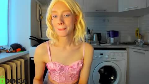 Snapshot of _alice_kitty chatting on 12/18/24, 12:29 Gaylord online show from 12/18/24, 12:29