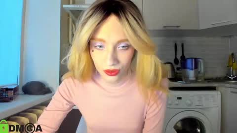 Snapshot of _alice_kitty chatting on 12/23/24, 12:41 Gaylord online show from 12/23/24, 12:41