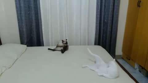 Snapshot of _amberxxx chatting on 02/03/25, 05:03 Amber online show from 02/03/25, 05:03