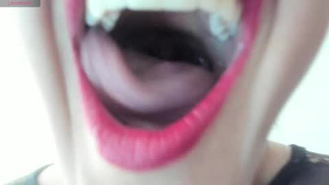 antonia online show from 11/24/25, 01:44