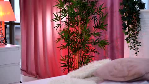 Arielle online show from 12/28/24, 12:24