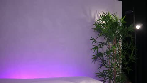 Arielle online show from 03/20/26, 08:08